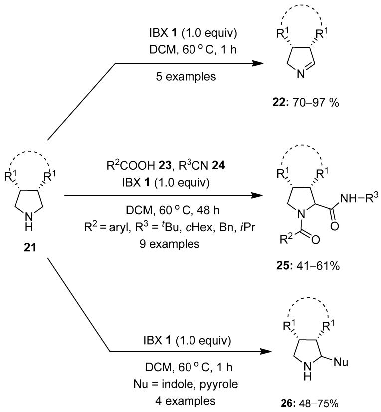 Scheme 5