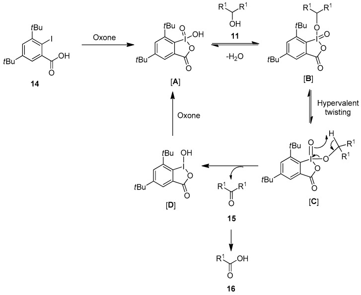 Scheme 2