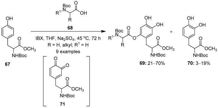 Scheme 17