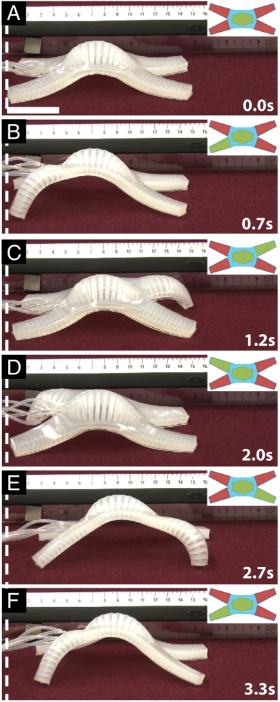 Fig. 3.