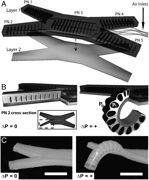 Fig. 1.