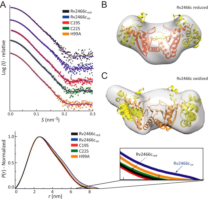 FIGURE 4.