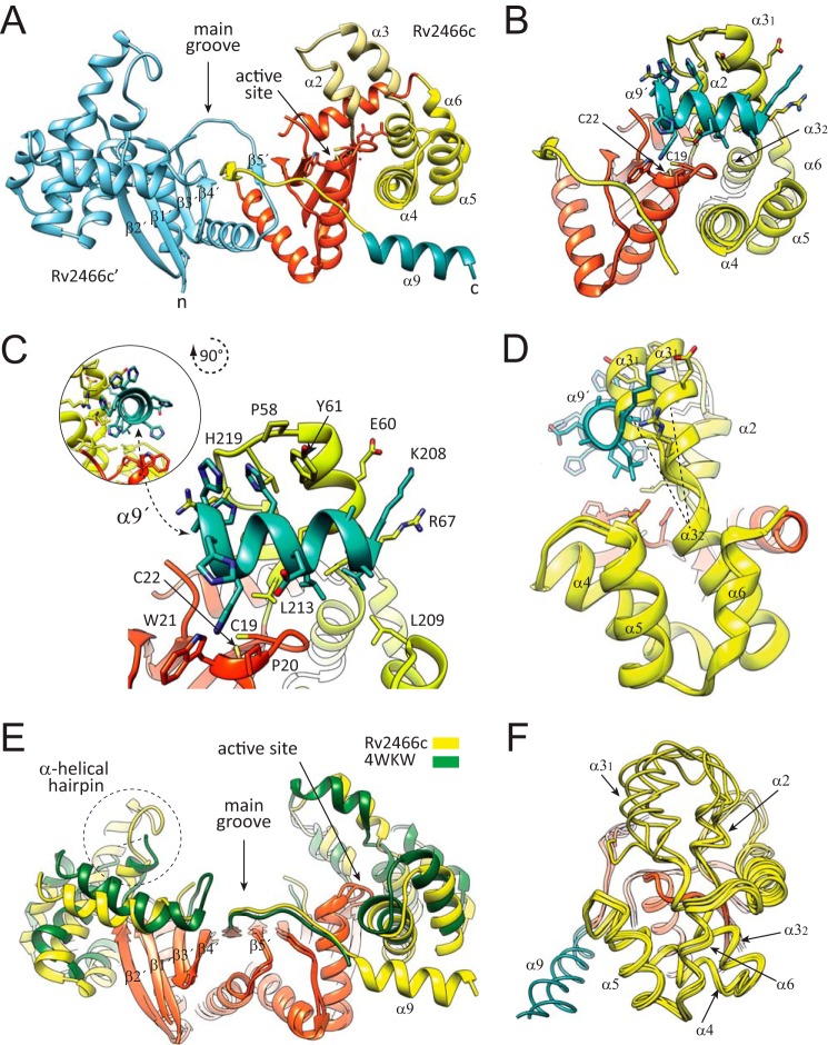 FIGURE 2.