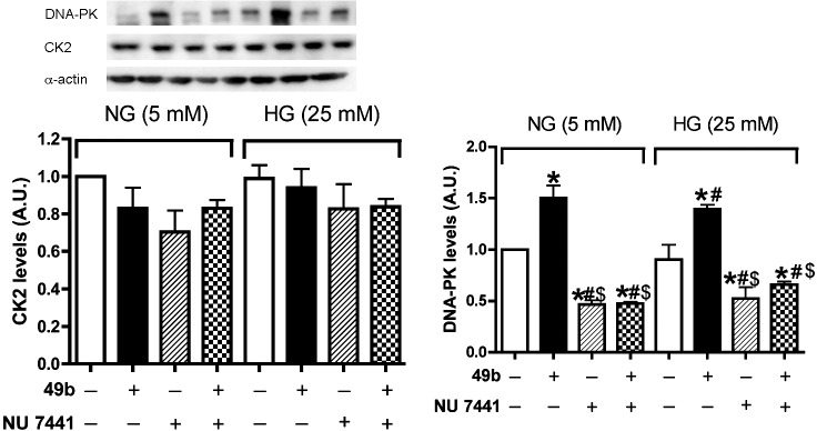  Figure 3. 