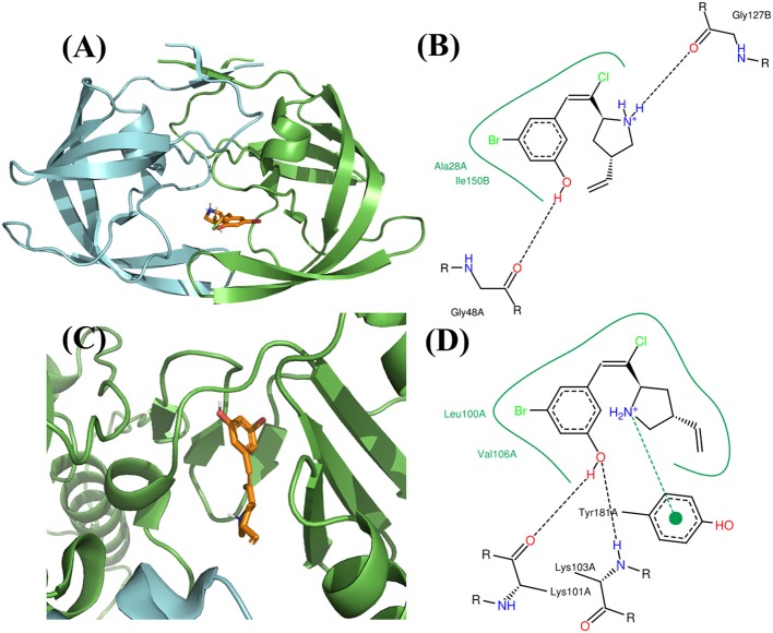 Figure 10