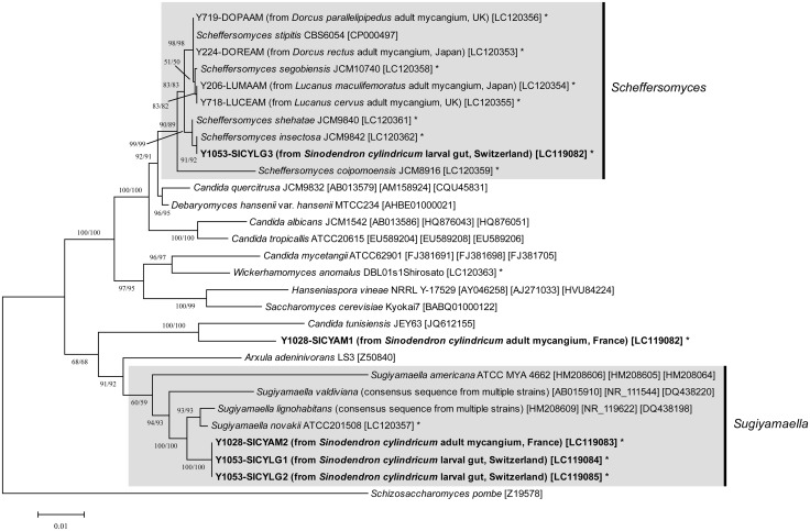 Fig. 3.