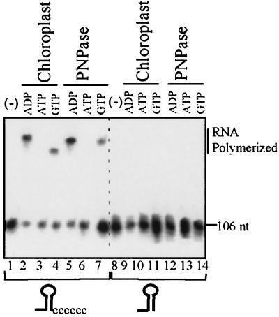 FIG. 7