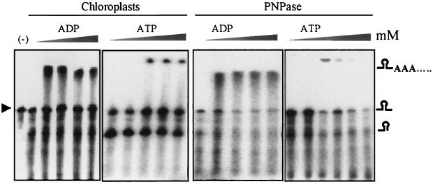 FIG. 8