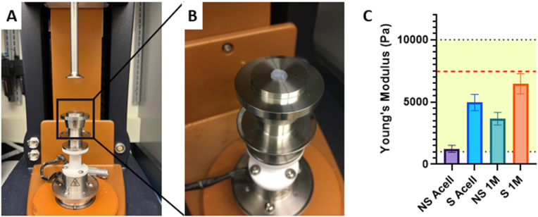 Fig. 8