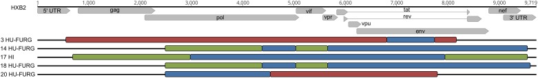 FIGURE 2