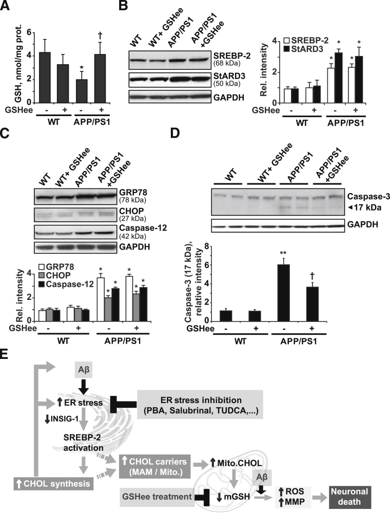 Figure 6