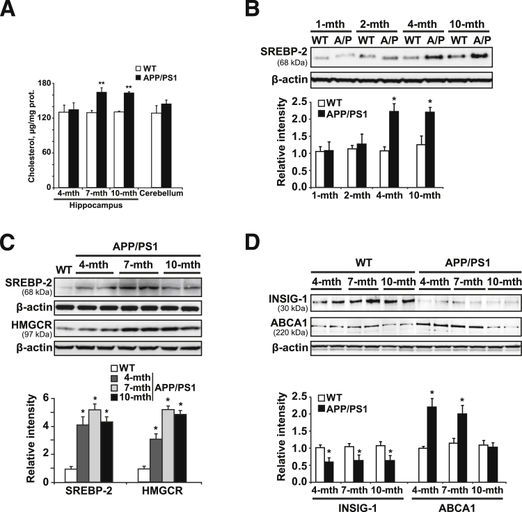 Figure 1