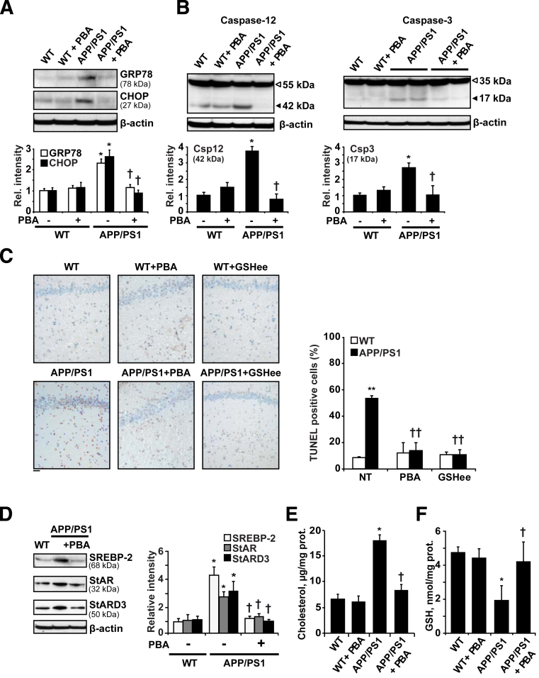 Figure 5