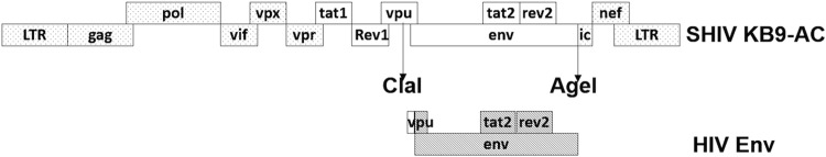 FIG 1