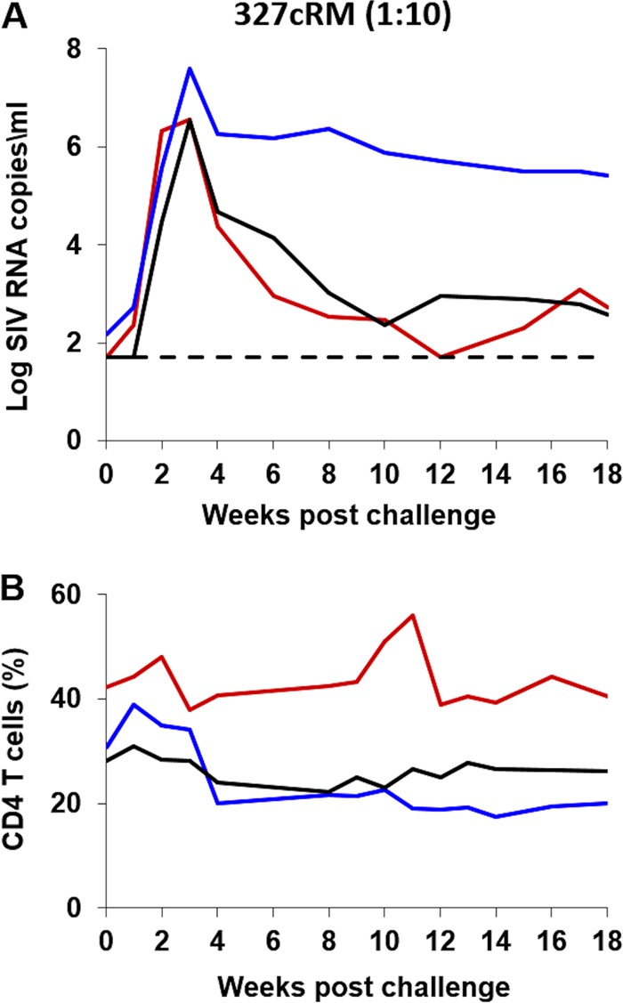 FIG 6