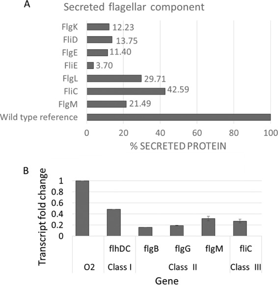 FIG 5 