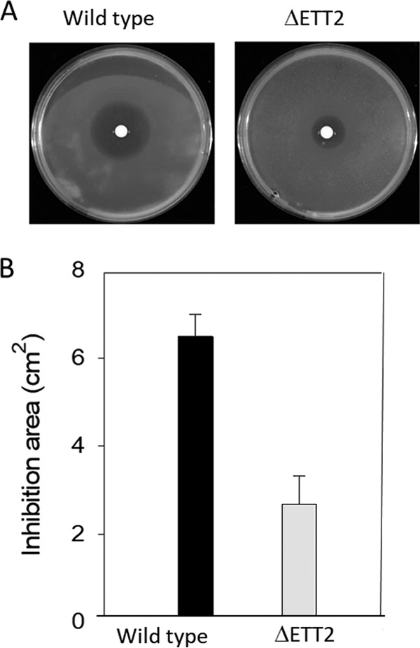 FIG 9 