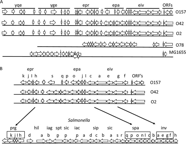 FIG 1 