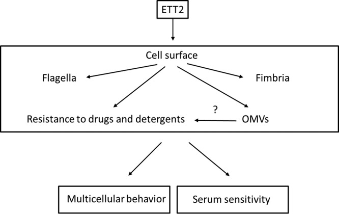 FIG 13 