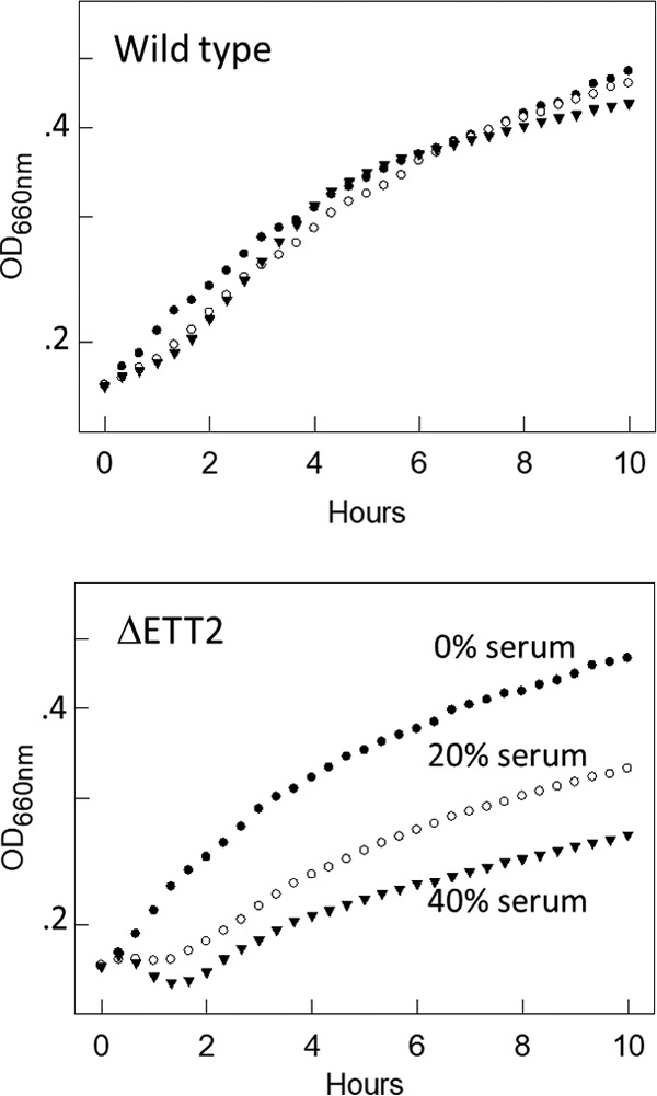 FIG 12 