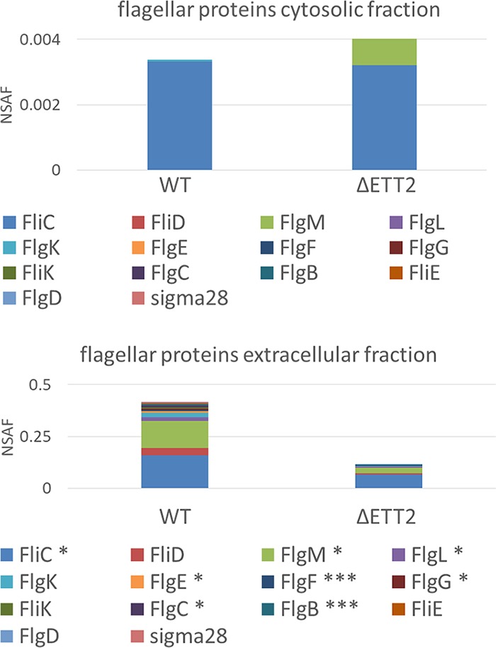 FIG 3 