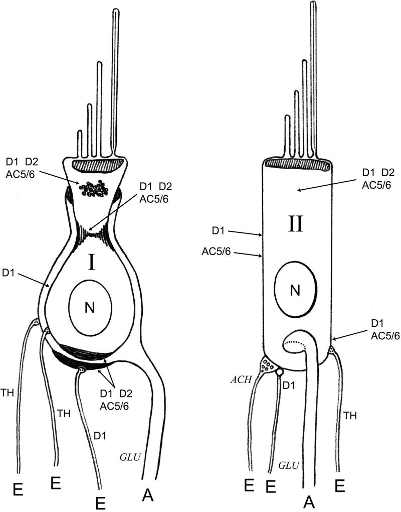 Fig. 11