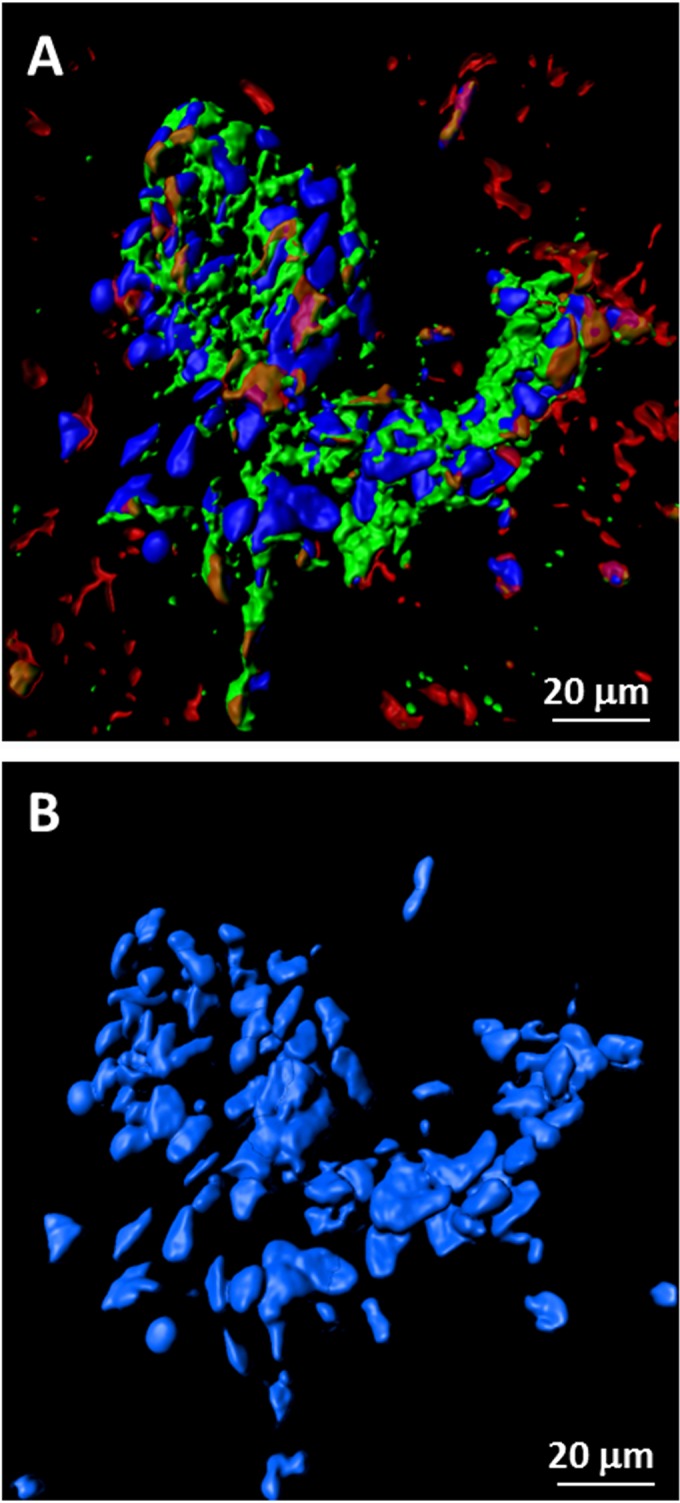 FIG 4