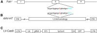 <b>Figure 1.</b>