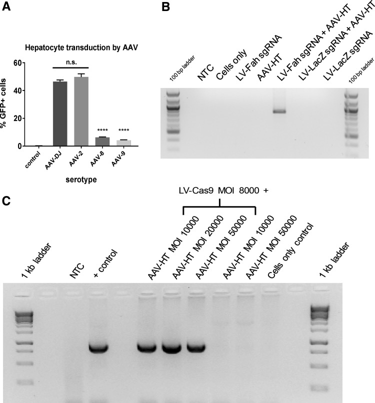 Figure 3.