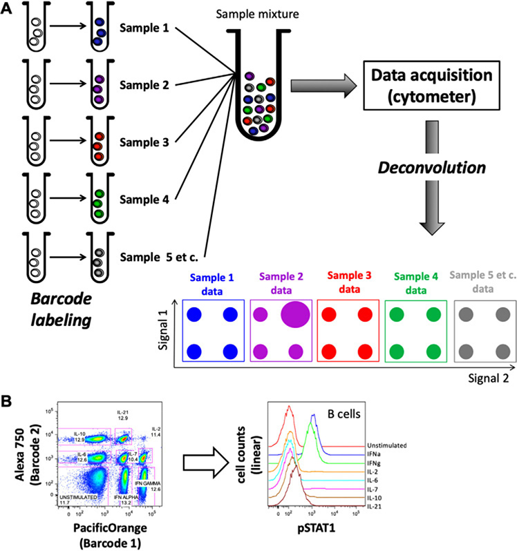 Figure 222.