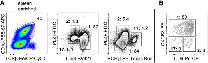 Figure 110.
