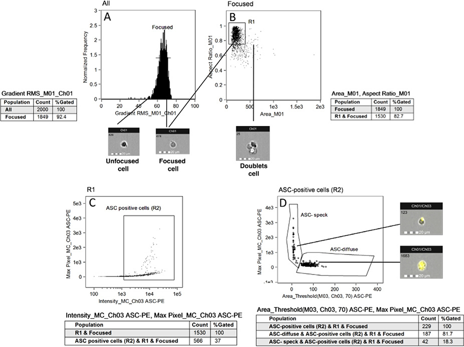 Figure 239.