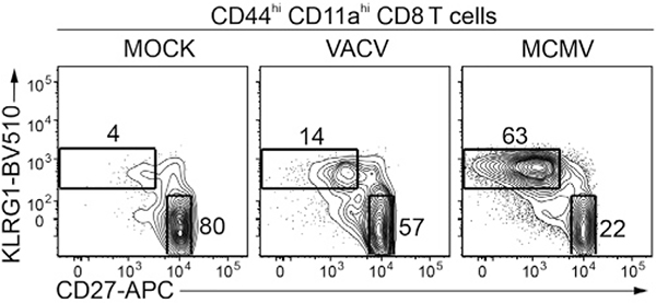Figure 95.
