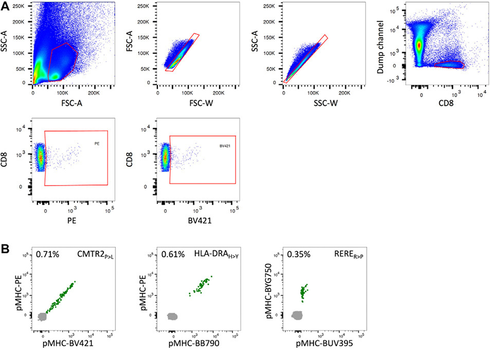 Figure 63.