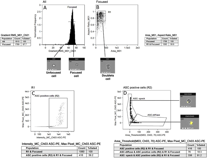 Figure 240.