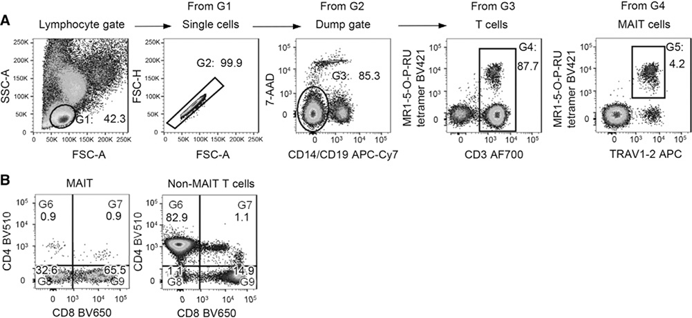 Figure 134.
