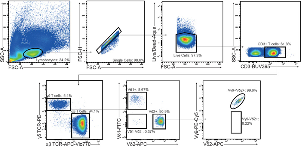 Figure 129.