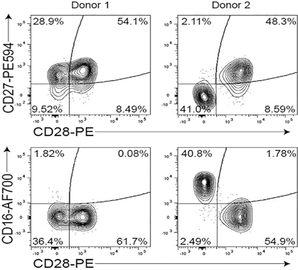 Figure 130.
