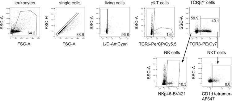 Figure 187.