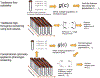 Figure 227.