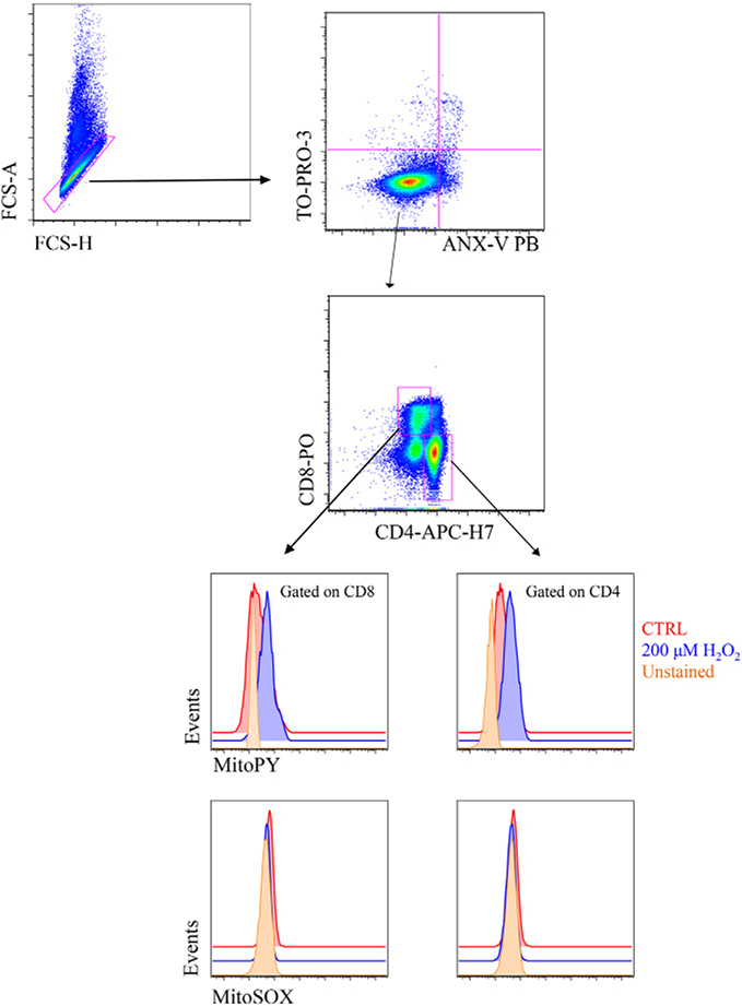 Figure 33.