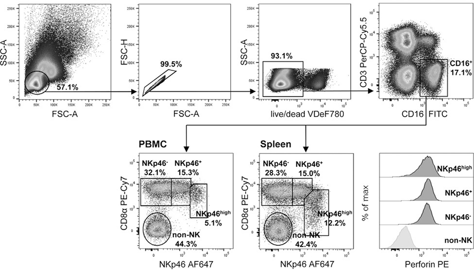 Figure 198.