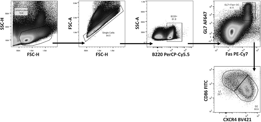 Figure 142.