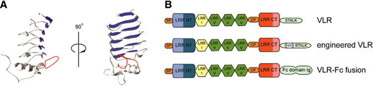 Figure 19.