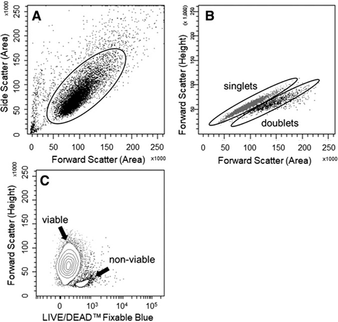 Figure 36.