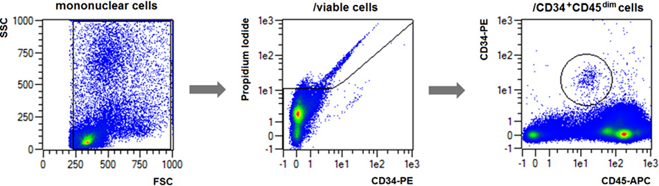 Figure 27.