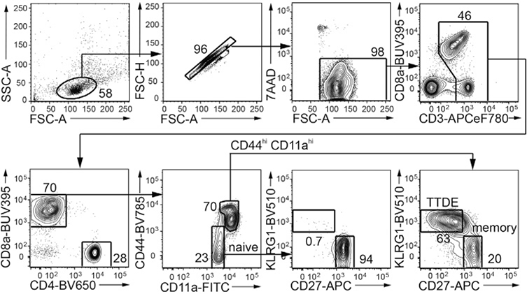 Figure 93.