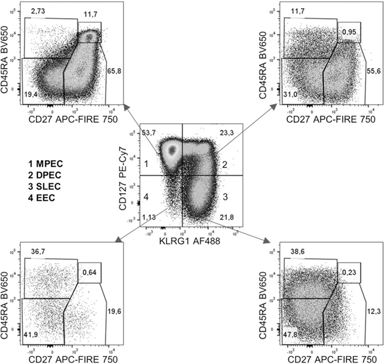 Figure 118.