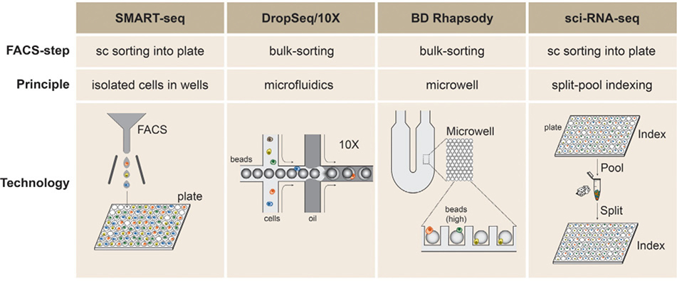 Figure 232.