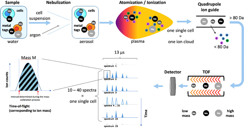 Figure 224.